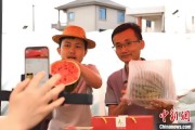 事业是指（乡村行·看振兴）江西安福“小西瓜”撬动乡村共富“大支点”