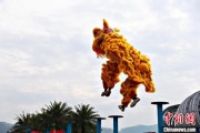 事业是指（文化中国行）壮乡狮舞闯南洋：脚踏“云桩” 饮誉海内外
