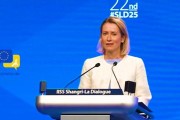 事业是指受虐？欧盟外长：美国是“严厉的爱”，总比没爱强